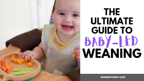 image of baby led weaning