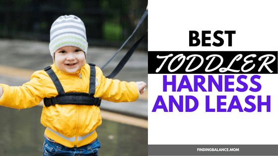 image of toddler harness
