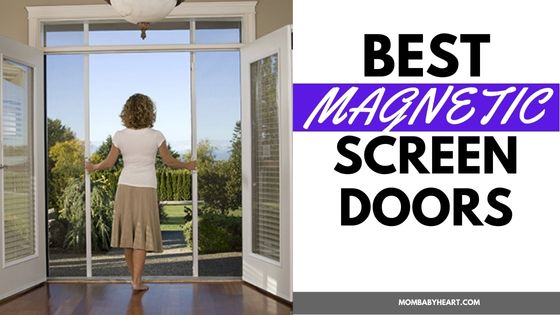 image of best magnetic screen door